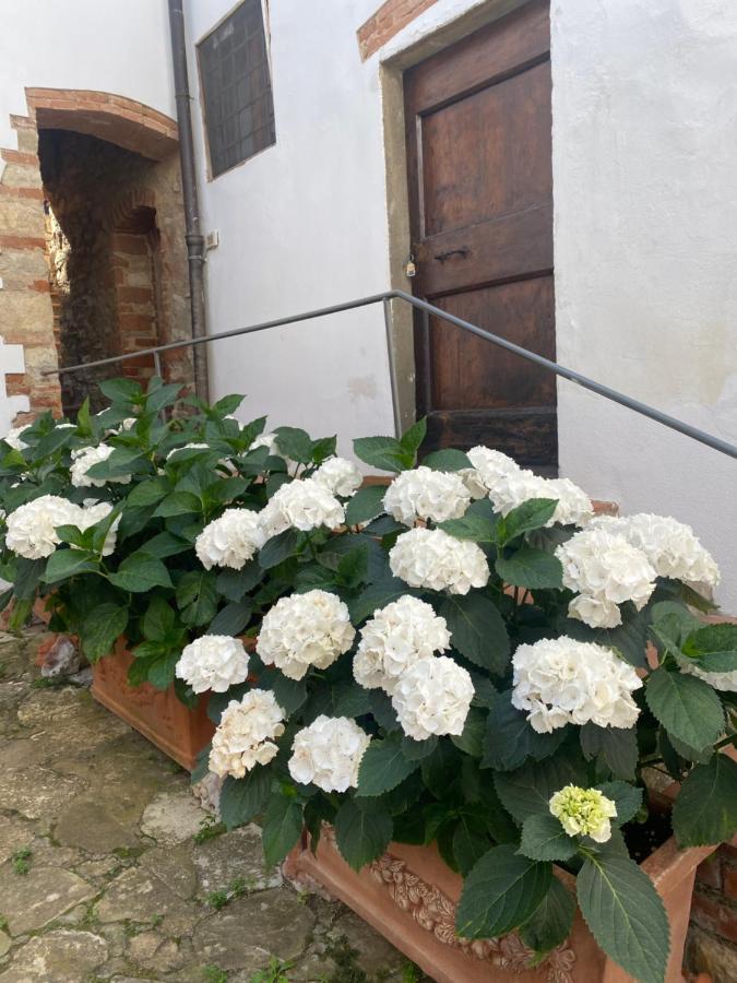 Gavene Ξενοδοχείο Villamagna  Εξωτερικό φωτογραφία